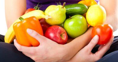 Elfa Master im Kontext bewusster Ernährung